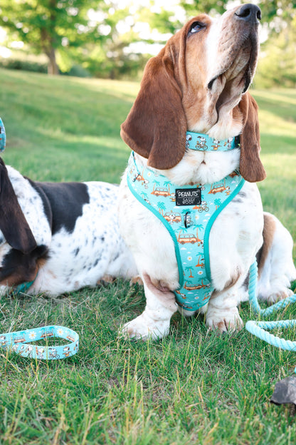 Dog Adjustable Harness - Peanuts™ Road Tripping