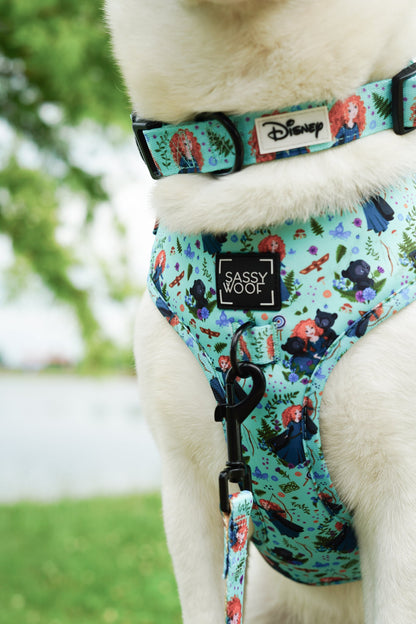 Dog Two Piece Bundle - Disney's Merida