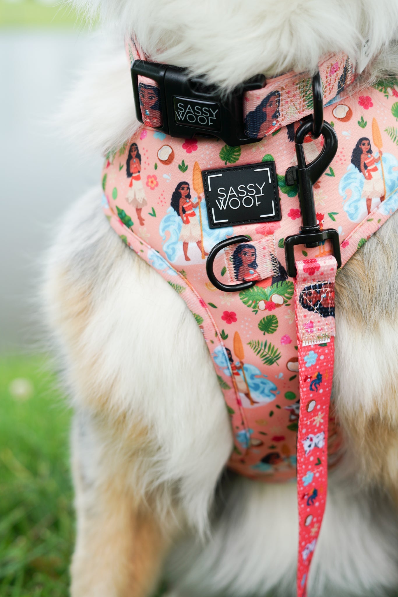 Harness Three Piece Bundle - Disney's Moana