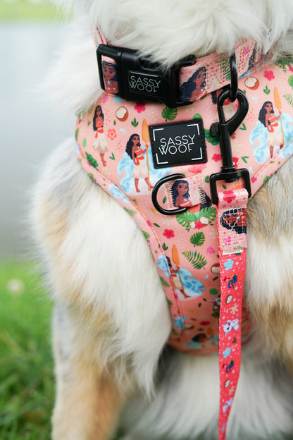 Harness Three Piece Bundle - Disney's Moana