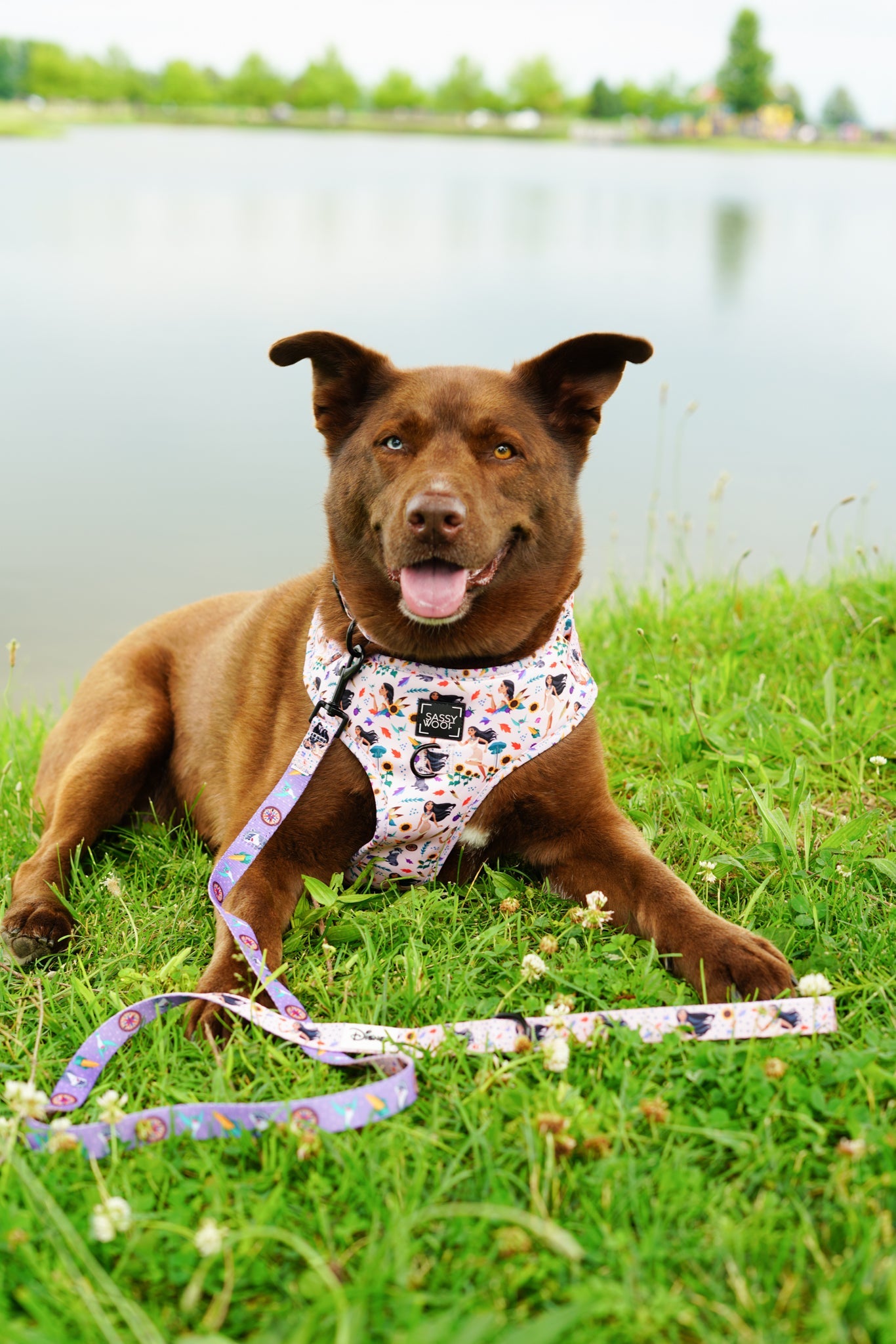 Harness Three Piece Bundle - Disney's Pocahontas