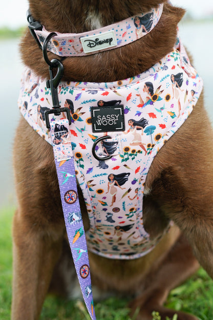 Dog Two Piece Bundle - Disney's Pocahontas
