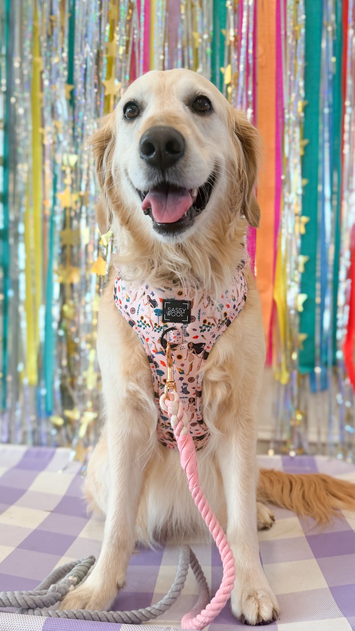 Dog Two Piece Bundle - Disney's Pocahontas