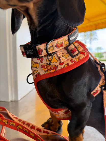 Dog Collar - Hot Dawg