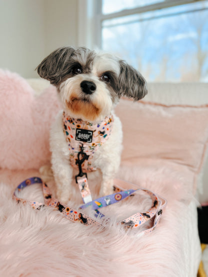Harness Three Piece Bundle - Disney's Pocahontas