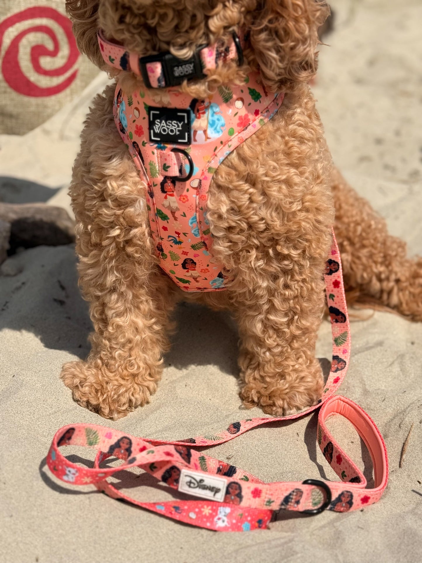 Dog Leash - Disney's Moana