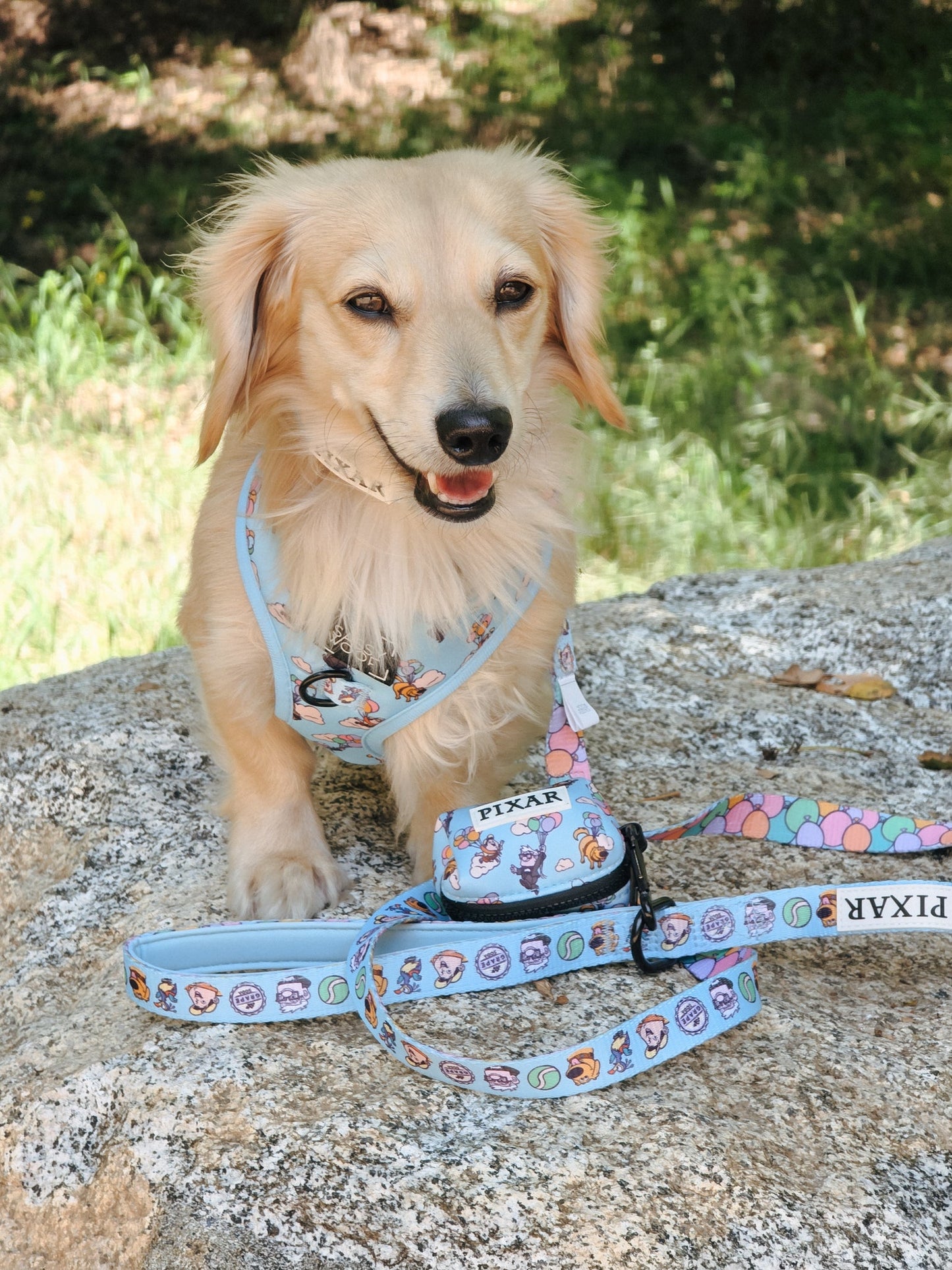 Dog Leash - Disney and Pixar's Up