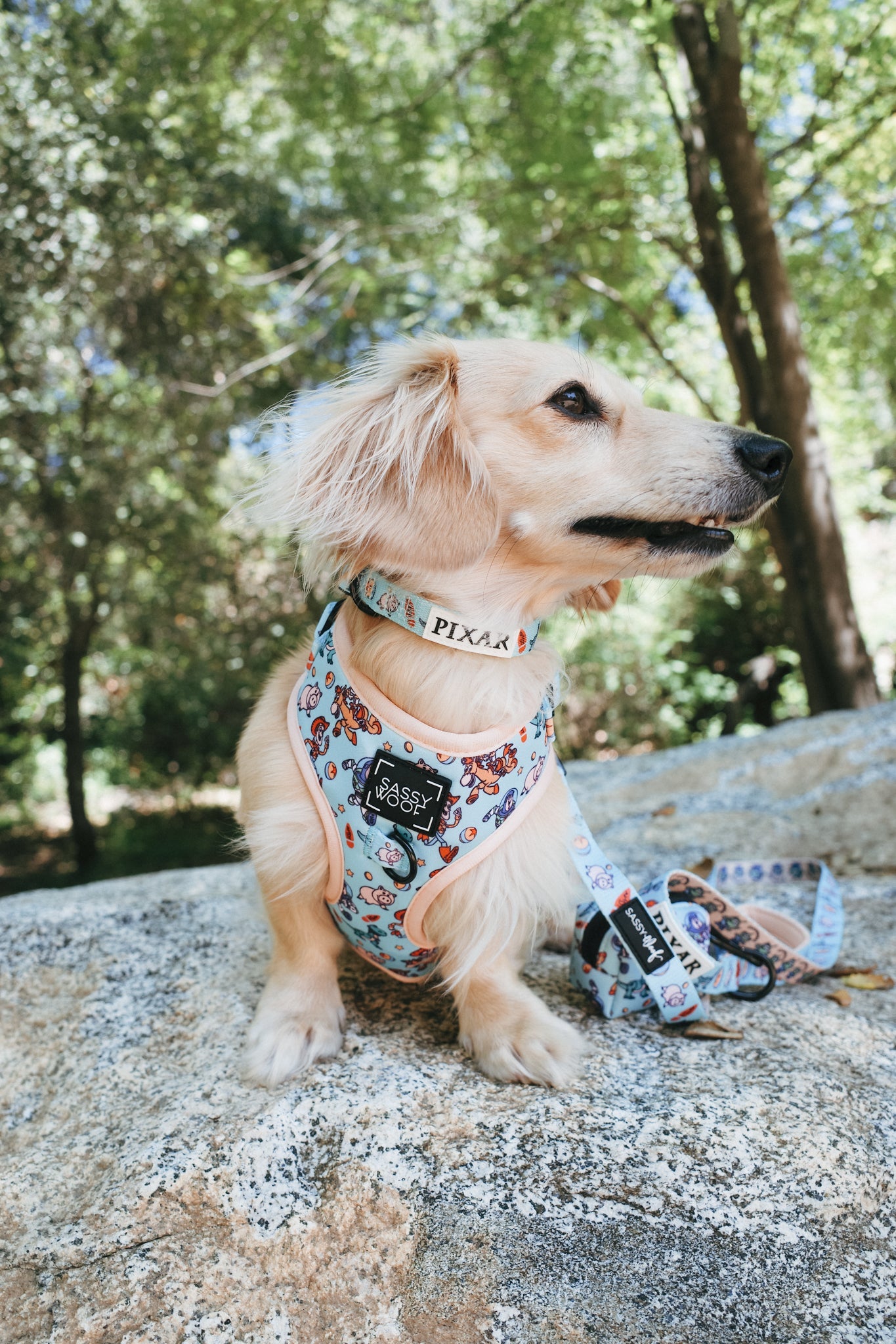 Dog Adjustable Harness - Disney and Pixar's Toy Story