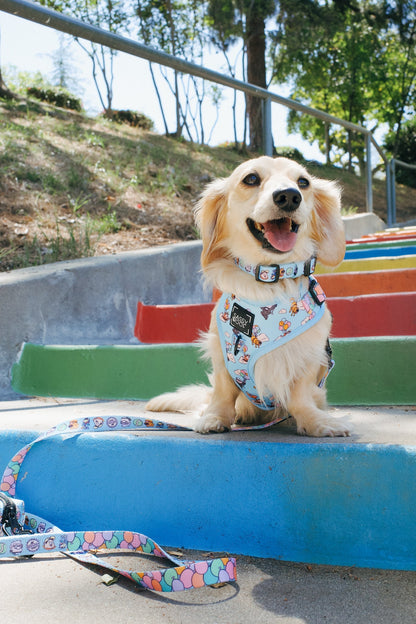 Dog Collar Three Piece Bundle - Disney and Pixar's Up