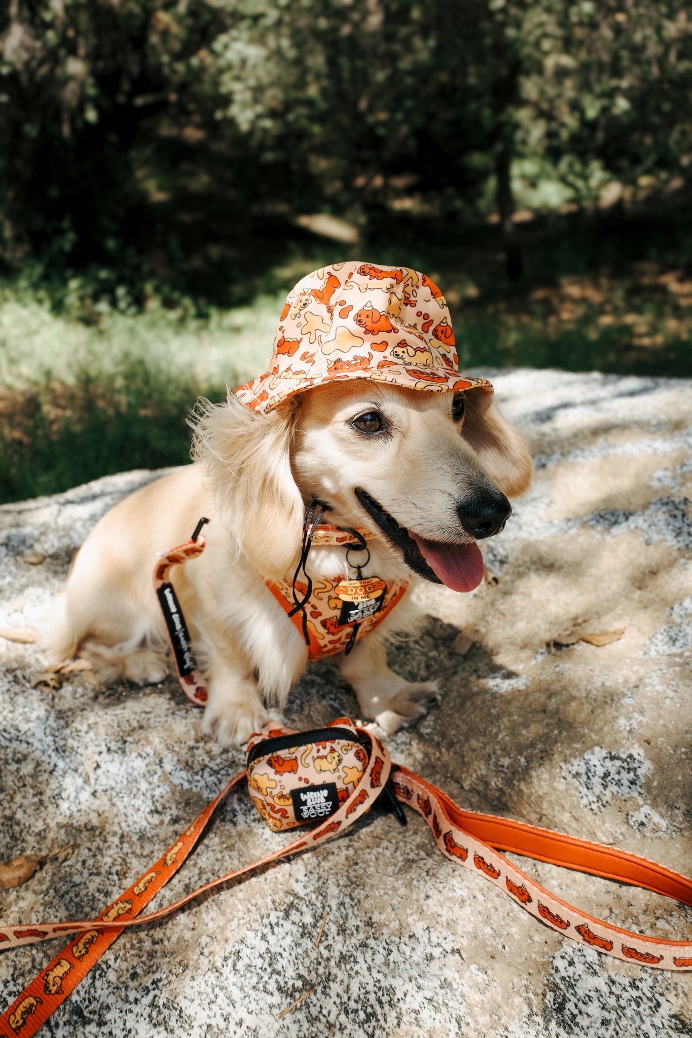Dog Leash - Hot Dawg