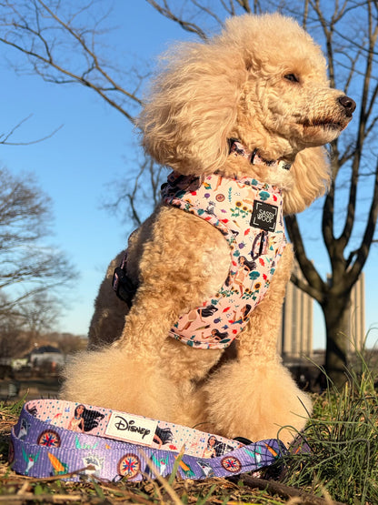 Dog Two Piece Bundle - Disney's Pocahontas