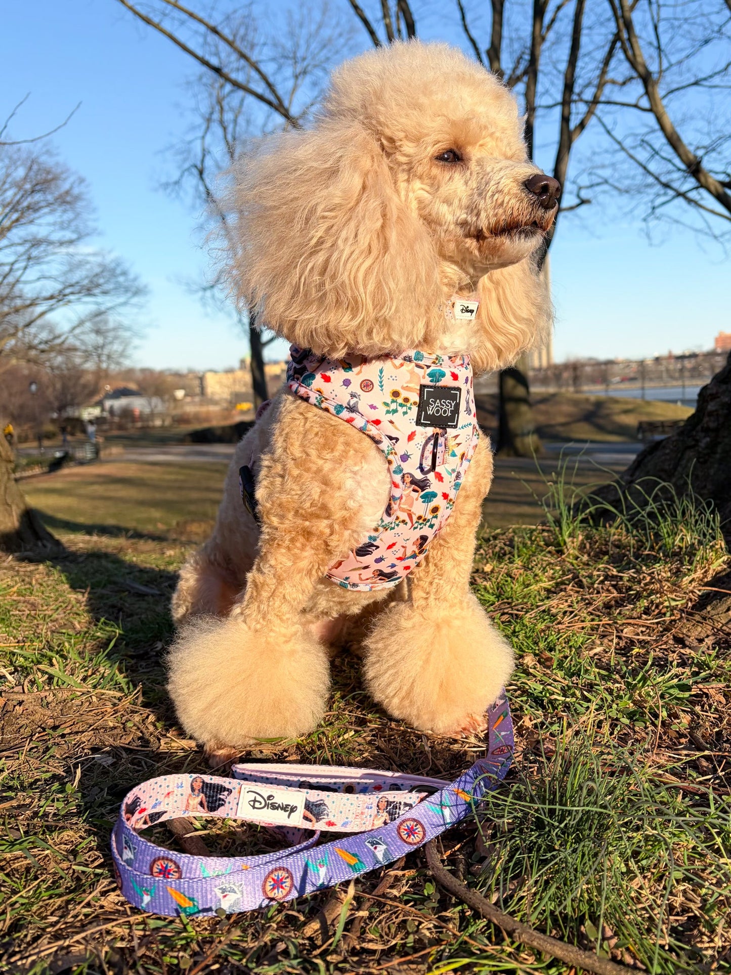 Dog Leash - Disney's Pocahontas