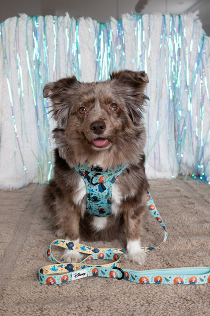 Dog Two Piece Bundle - Disney's Merida