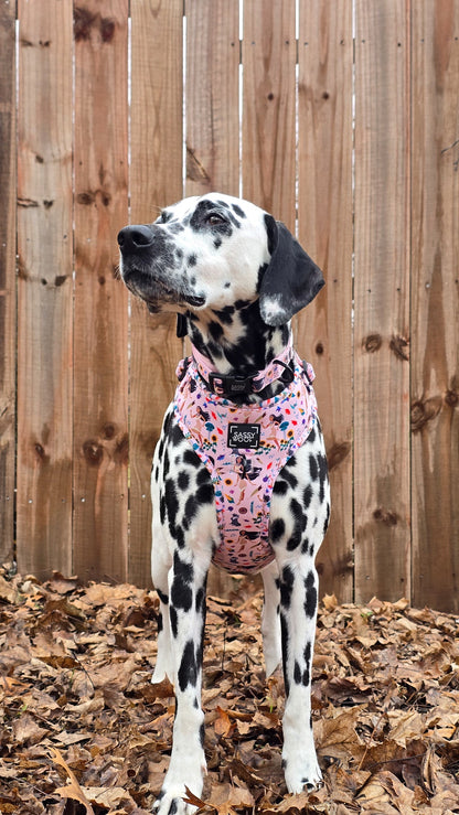 Dog Two Piece Bundle - Disney's Pocahontas