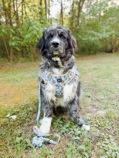 Dog Adjustable Harness - Disney and Pixar's Toy Story