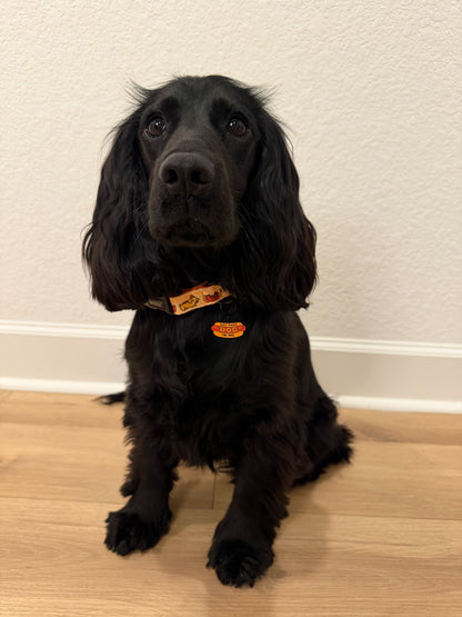 Dog Collar - Hot Dawg