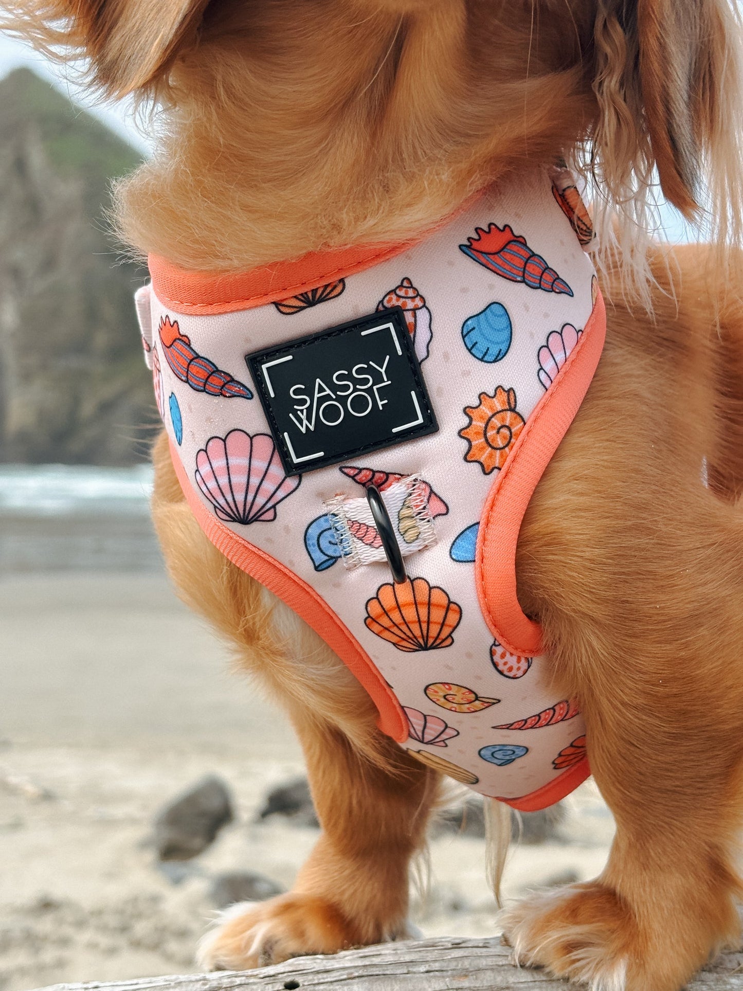Dog Adjustable Harness - Shell Yeah