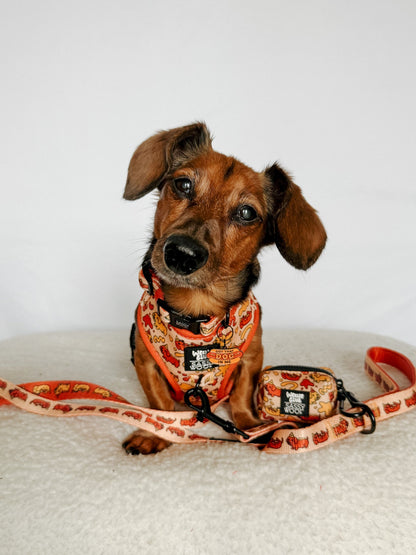 Dog Leash - Hot Dawg