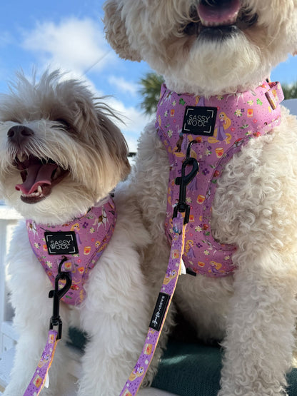Dog Adjustable Harness - Disney's Rapunzel