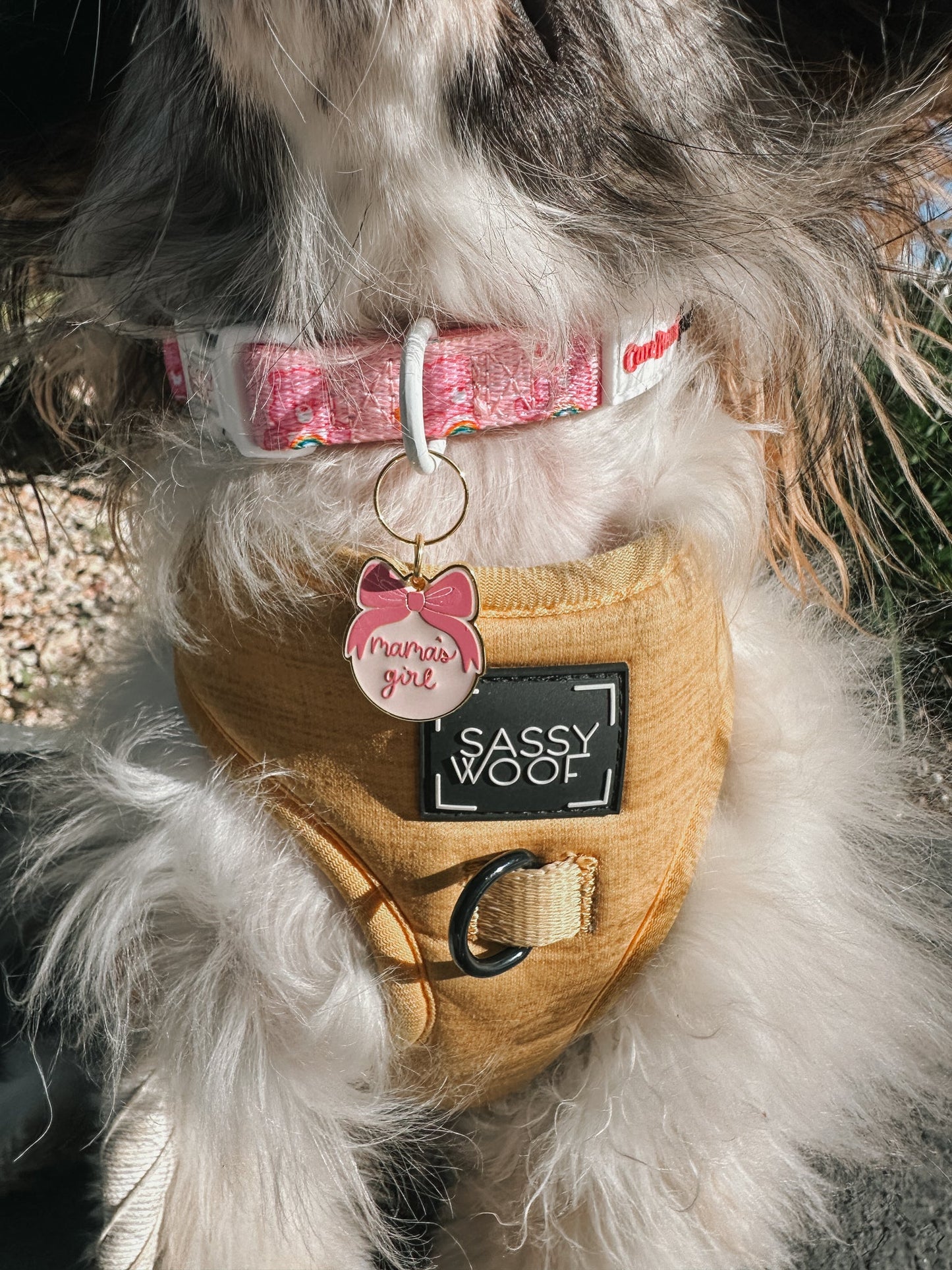 Collar Tag - Mama's Girl (Gold)