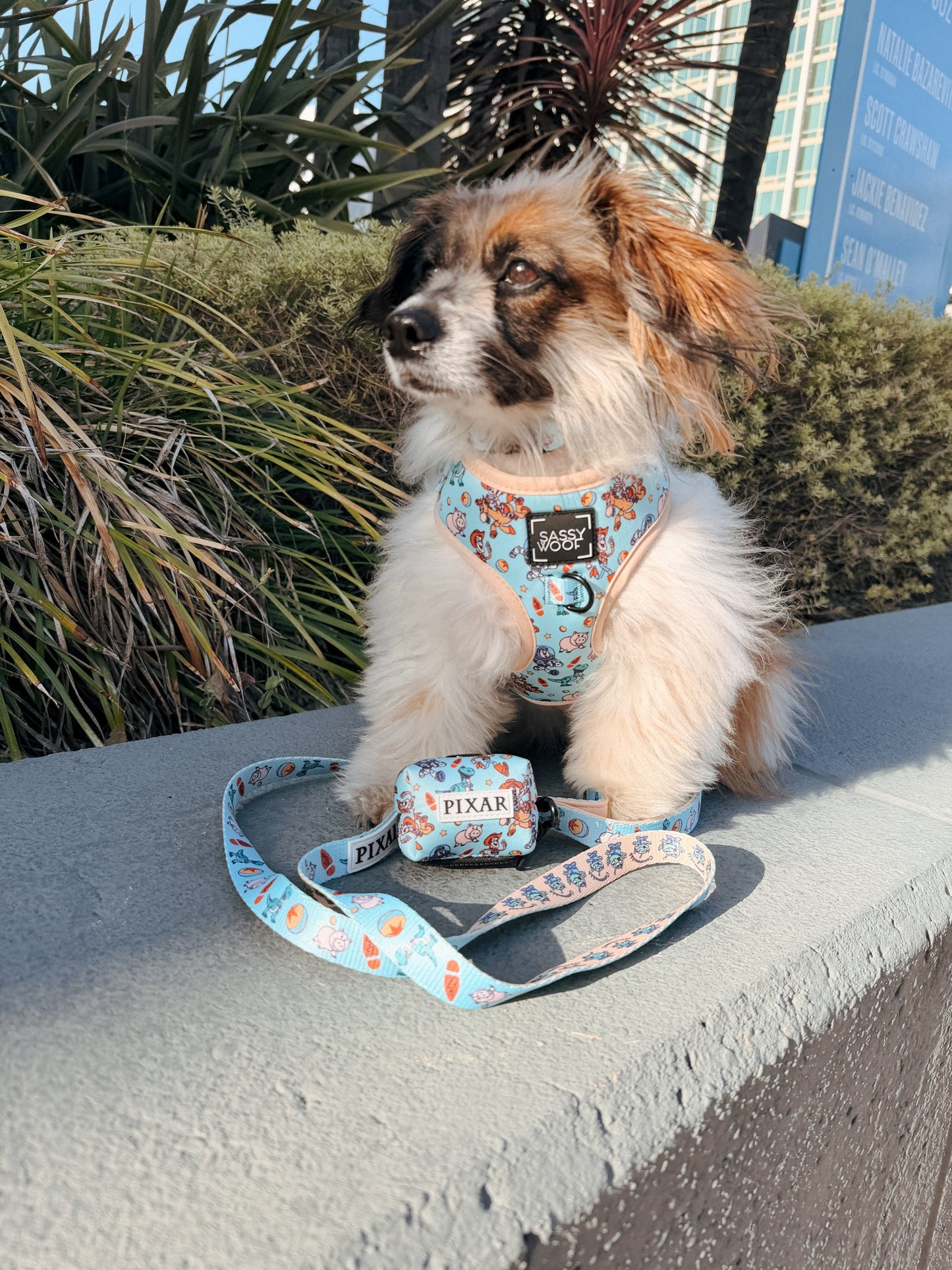 Dog Waste Bag Holder - Disney and Pixar's Toy Story