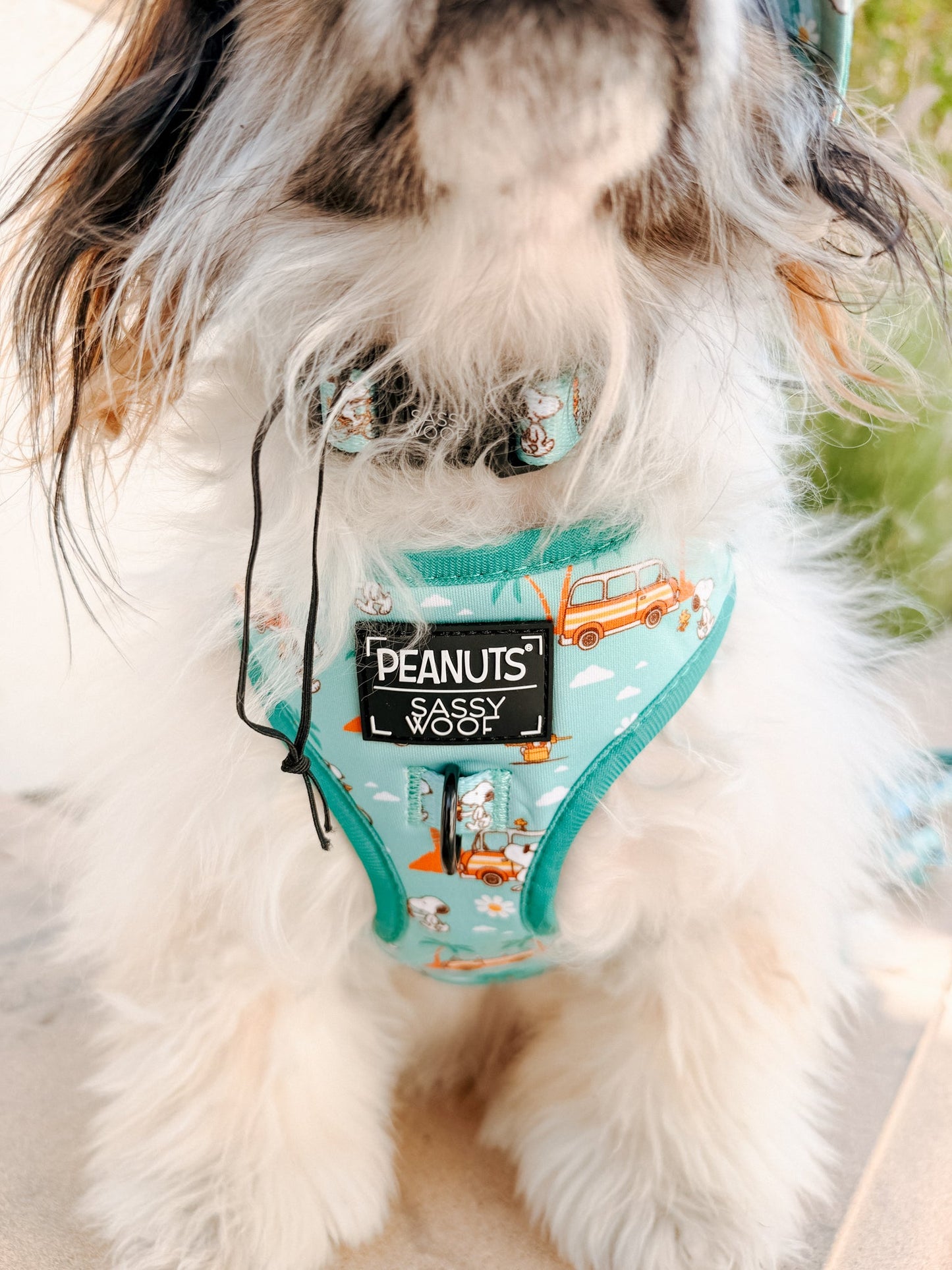 Dog Adjustable Harness - Peanuts™ Road Tripping