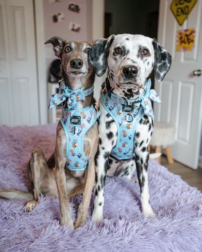 Dog Adjustable Harness - Disney and Pixar's Up