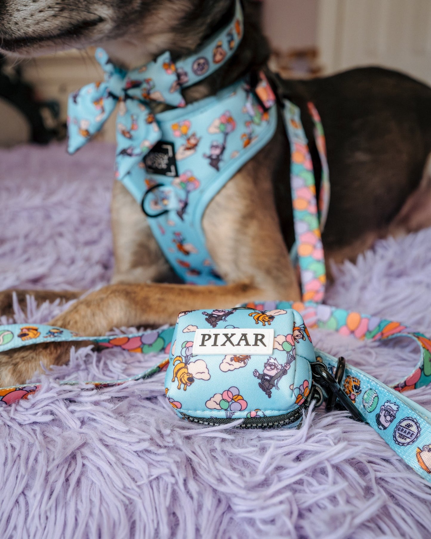 Dog Collar - Disney and Pixar's Up