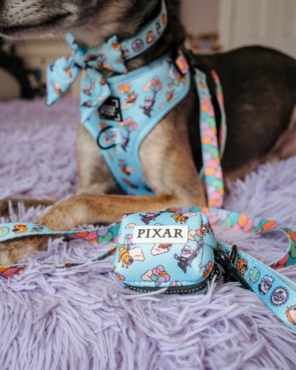 Dog Collar Three Piece Bundle - Disney and Pixar's Up