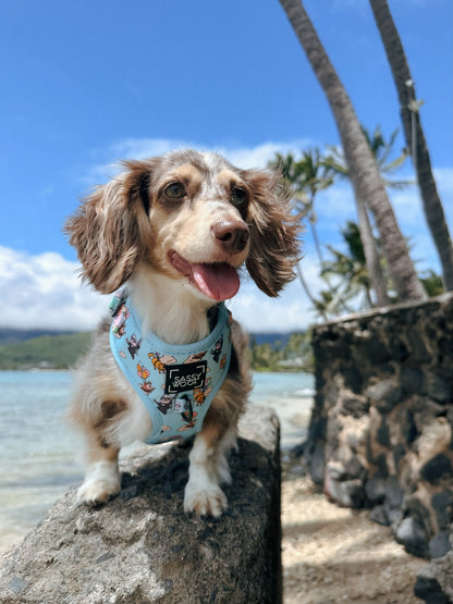 Dog Adjustable Harness - Disney and Pixar's Up