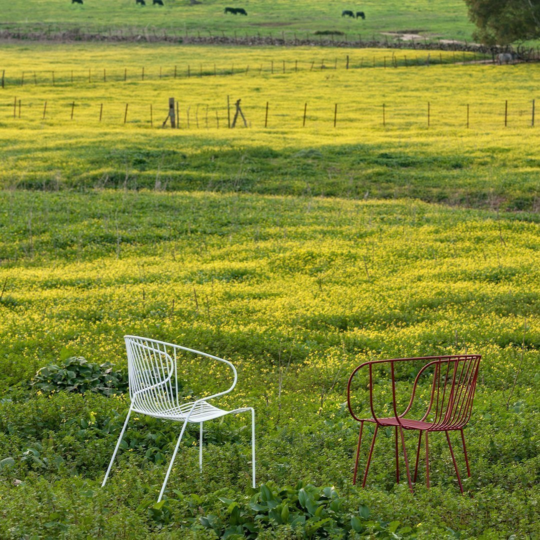 Bolonia Lounge Armchair