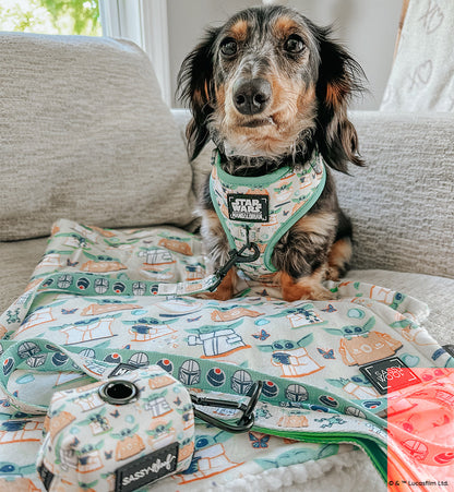 Dog Adjustable Harness - STAR WARS™ The Child™