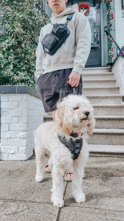 Dog Parent Bag + Strap