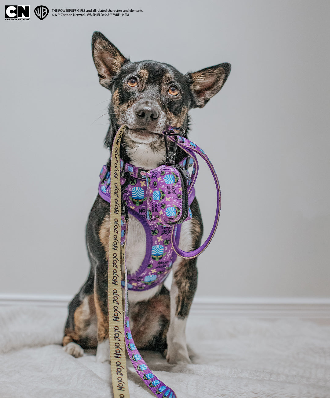 Dog Two Piece Bundle -  Mojo Jojo™