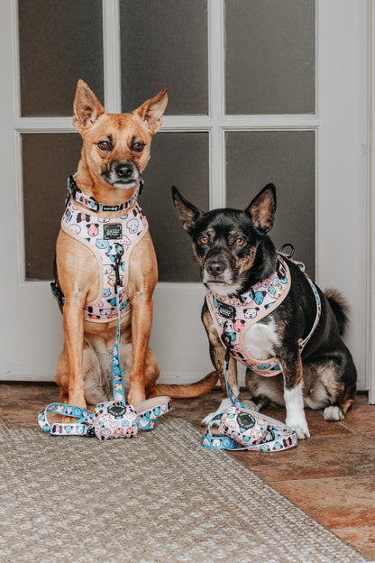 Dog Collar - Mixed With Love