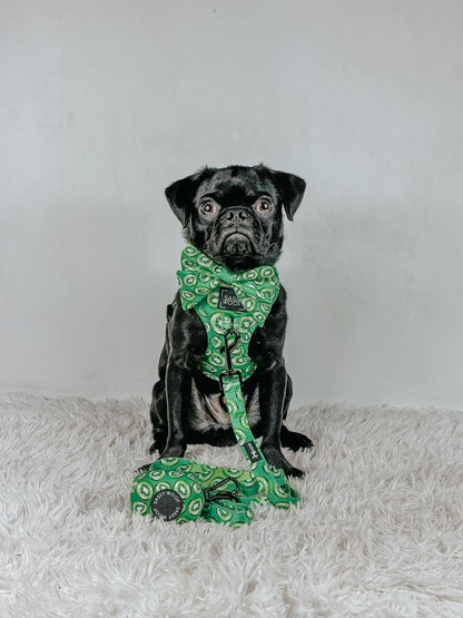 Dog Sailor Bow - Kiwi Krazy