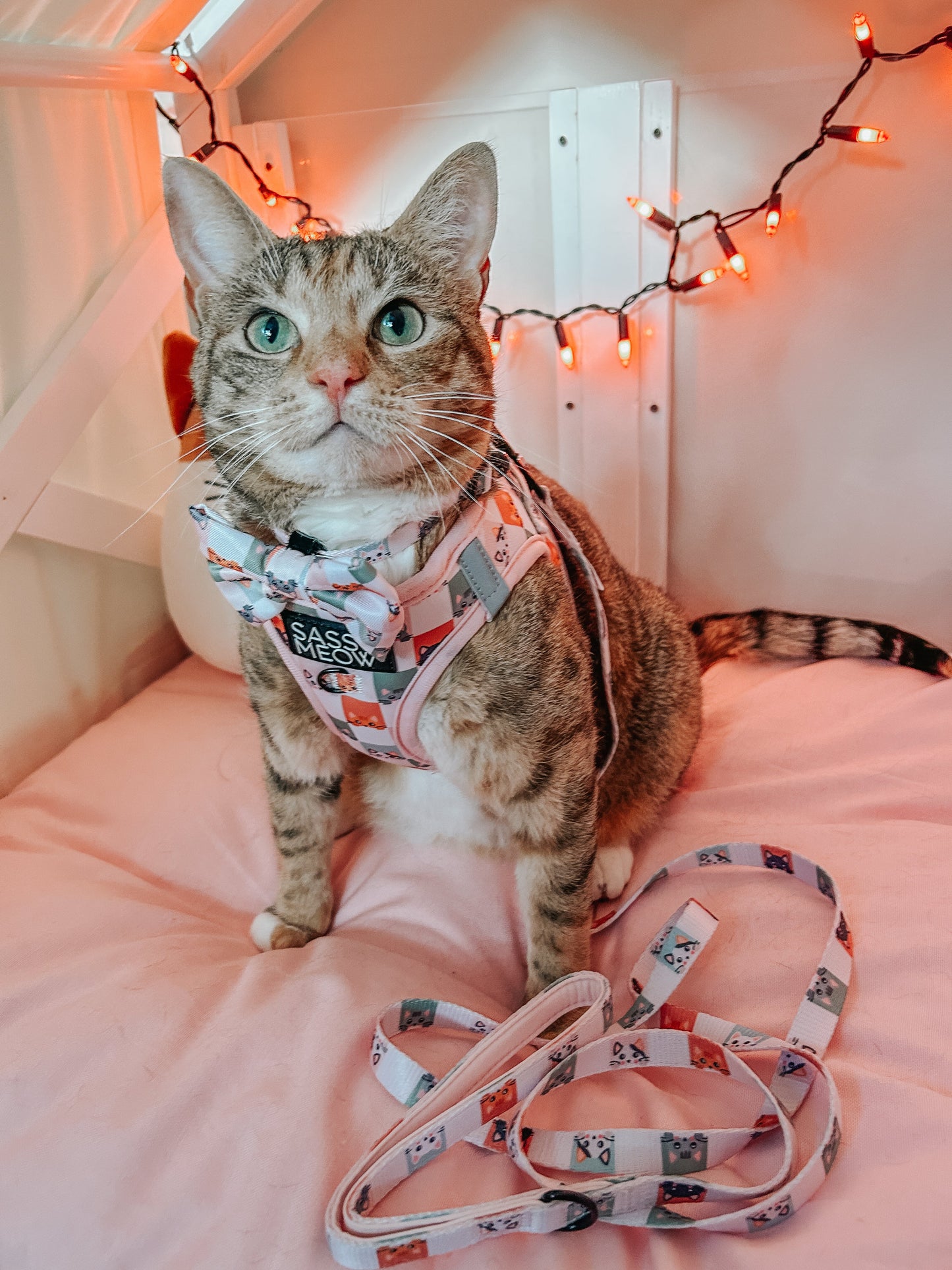 Cat Bowtie - Smitten Kittens