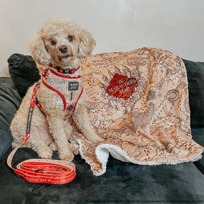 Pet Blanket - Harry Potter™ Marauder's Map™