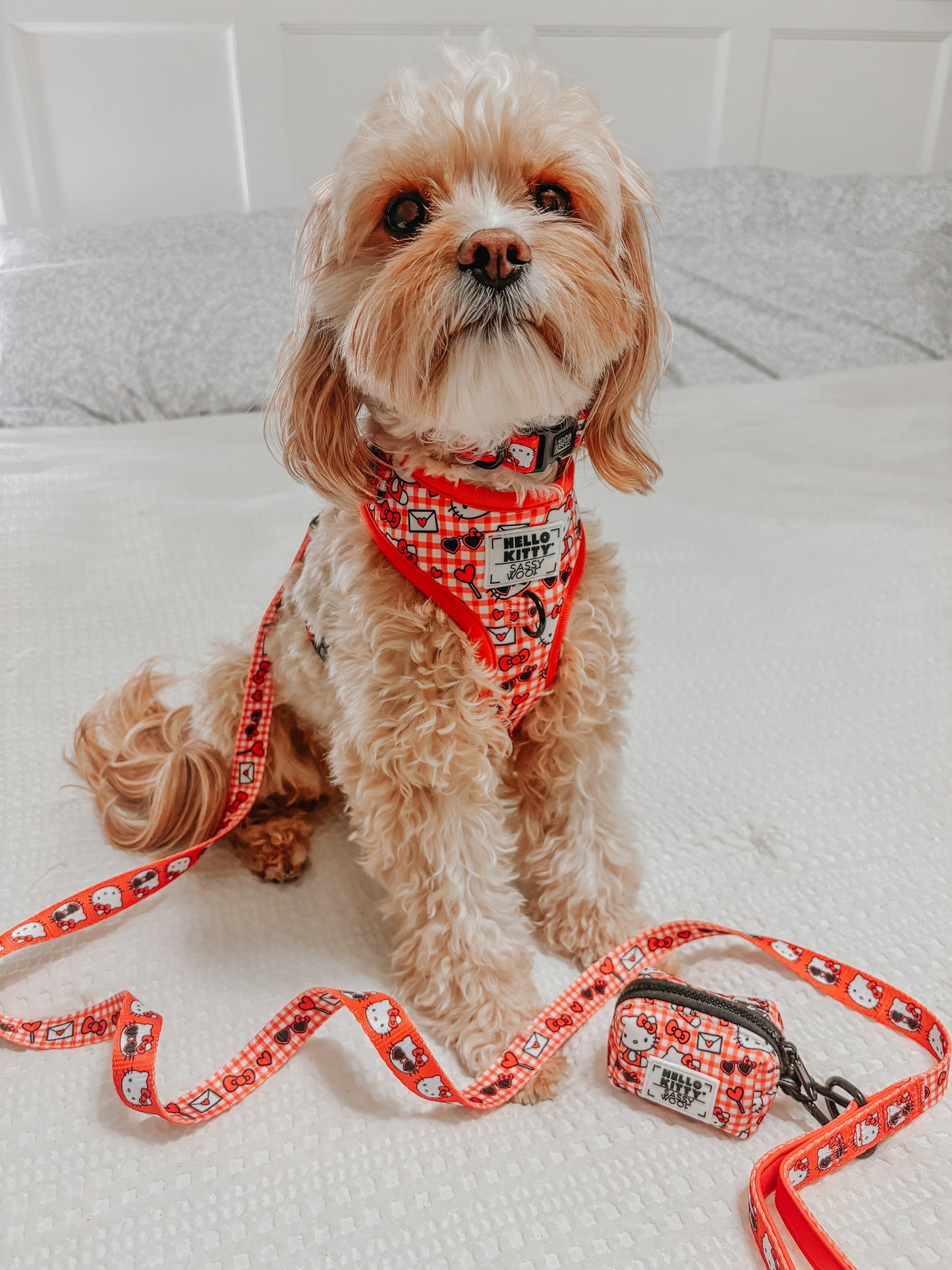 Dog Four Piece Bundle - Hello Kitty® Red Classic