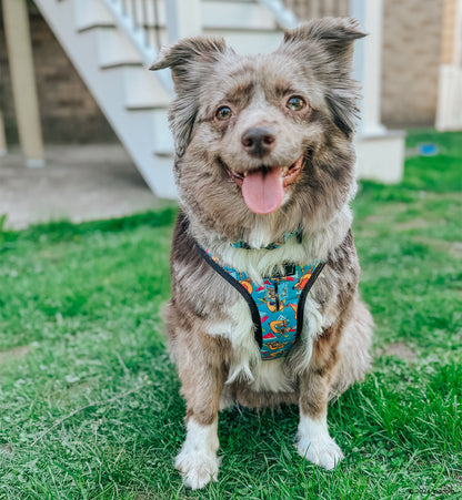 Dog Adjustable Harness - Nickelodeon CatDog™