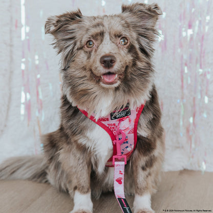 Dog Adjustable Harness - Mean Girls™