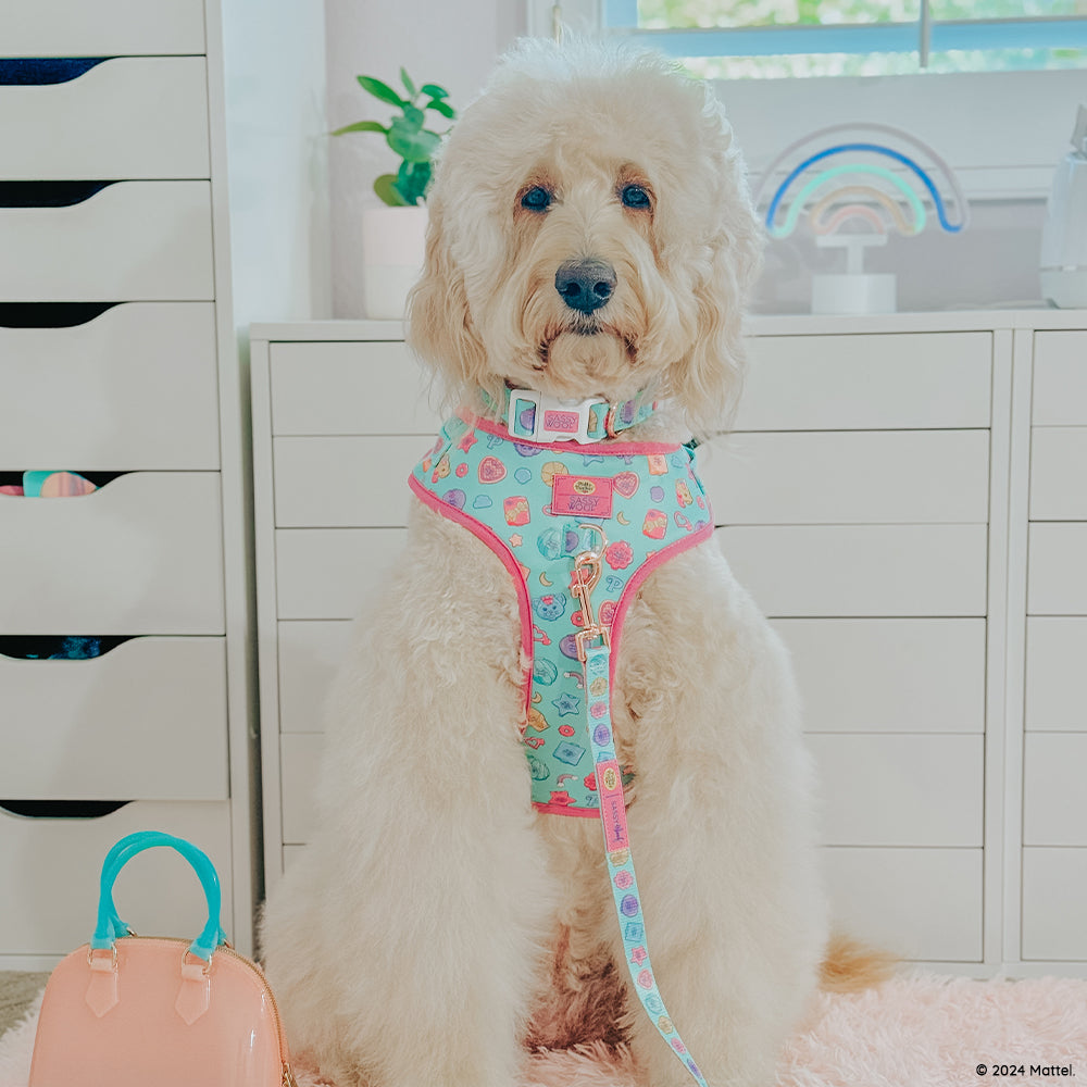 Dog Two Piece Bundle - Polly Pocket™