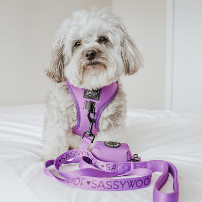 Dog Four Piece Bundle - Neon Purple