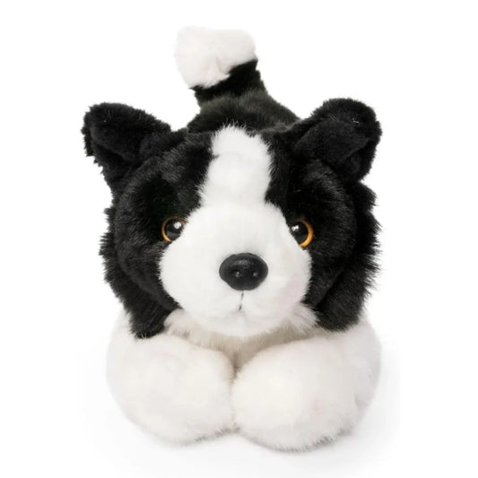 Living Nature - Border Collie Playful Pup