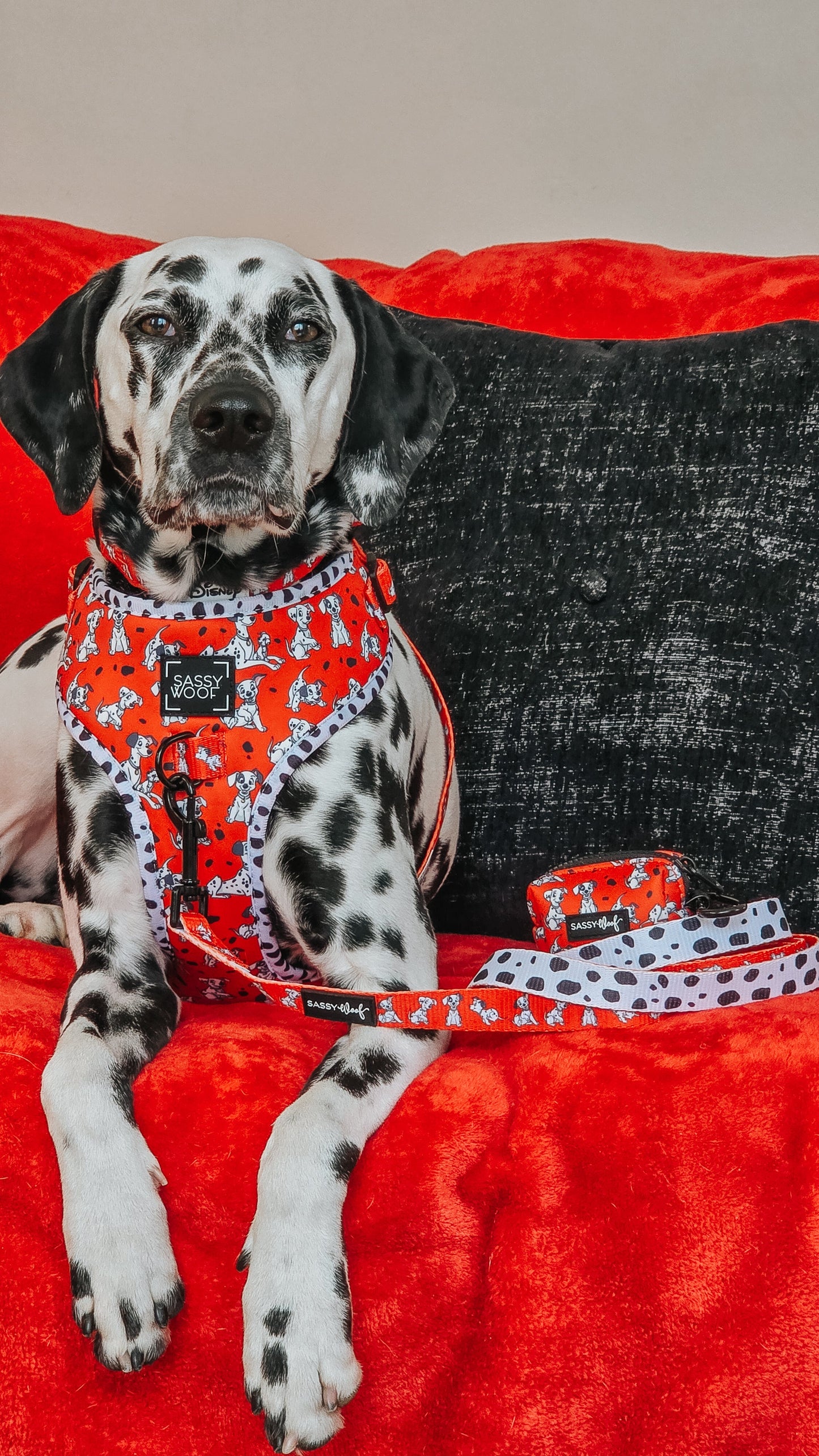 Dog Four Piece Bundle - Disney's 101 Dalmatians