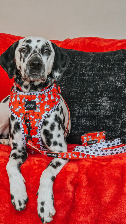 Dog Leash - Disney's 101 Dalmatians