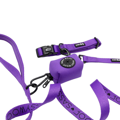 Dog Collar Three Piece Bundle - Neon Purple