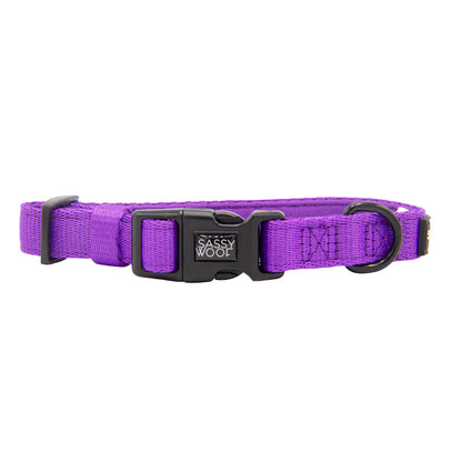 Dog Collar Three Piece Bundle - Neon Purple