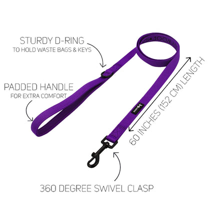 Dog Collar Three Piece Bundle - Neon Purple