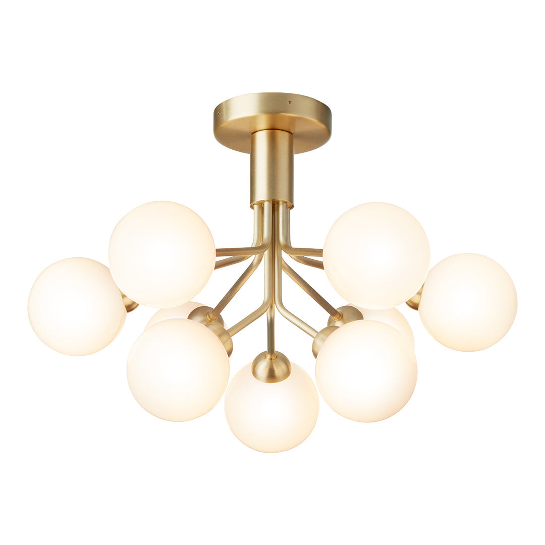 Apiales 9 Ceiling Fixture